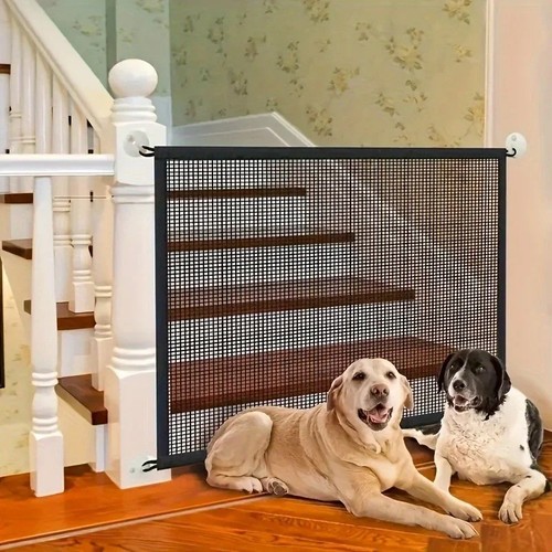 Pet dog gate safety - dog,