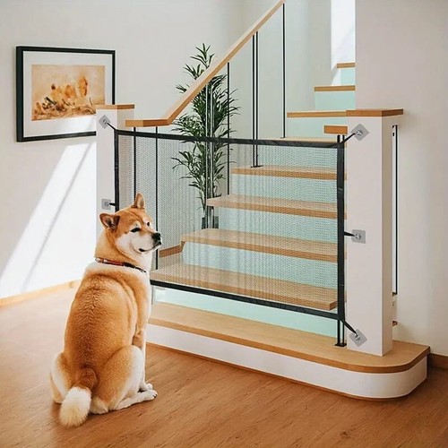Retractable dog child - child, safety